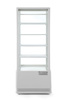 Witryna chłodnicza 98 l Arktic biały 230V/210W 444x397x(H)1100mm