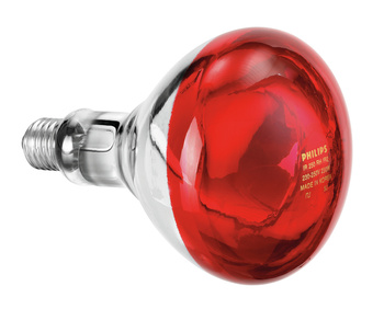 Lampa na podczerwień IWL250D Bartscher